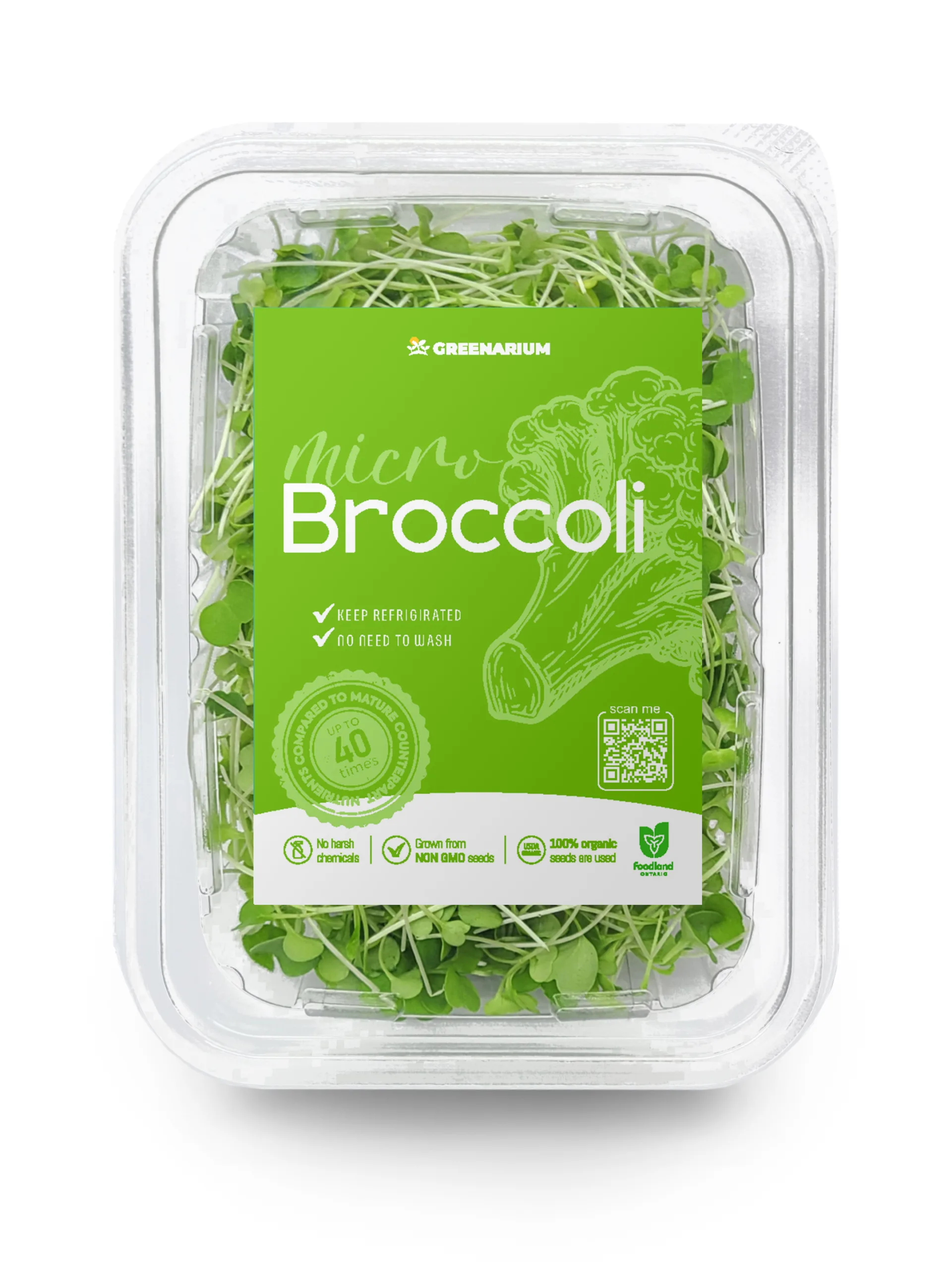 Broccoli microgreens